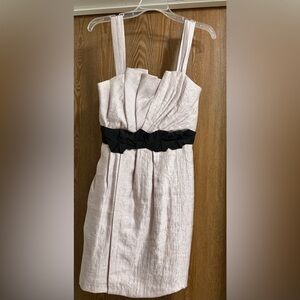 Max & Cleo Taupe Dress with Black Accent